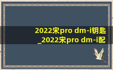 2022宋pro dm-i钥匙_2022宋pro dm-i配置参数